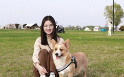 蘑菇头顶开花缝